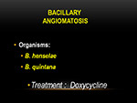 Bacillary angiomatosis