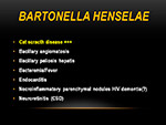  Bartonella henselae