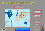 Worldwide Distribution