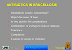 Antiibiotic in Brucellosis 