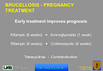 Brucellosis pregnancy