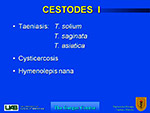  Cestodes I