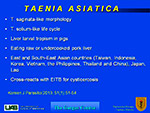 Taenia asiatica