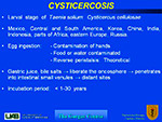 Cisticercosis