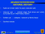 Neurocysticercosis