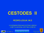  Cestodes II 