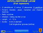 Dyphyllobothrium latum