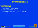 Hydatid Disease
