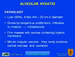 Alveolar Hydatid