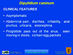  Dipylidium caninum 
