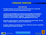  Chagas Disease 