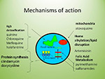 Mechanisms of action