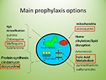 Main prophylaxis