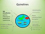 Quinolines