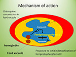  Mechanism of action 