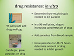  Drug Resistance 