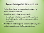 Folate biosynthesis