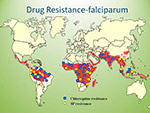  Drug resistance 