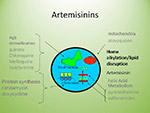 Artemisinins