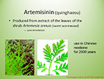  Artemisinins 