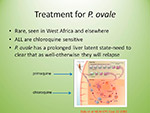 Treatment for P ovale