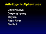 Arthritogenic Alphaviruses