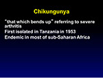  Chikungunya 