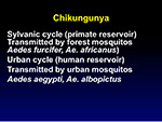  Chikungunya 