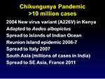  Chikungunya pandemic