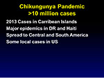  Chikungunya pandemic 