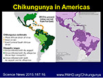  Chikungunya in Americas