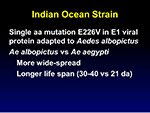 Indian Ocean Strain