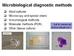 Microbiological diagnostic methods
