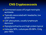  CNS Cryptococcosis 