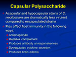  Capsular Polysaccharide 
