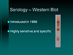 Serology