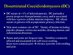 Disseminated Coccidioidomycosis