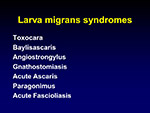 Larva migrans