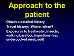 Approach to the patient