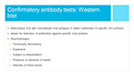 Confirmatory antibody tests