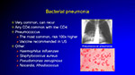 Bacterial pneumonia