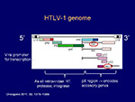 HTLV1 genome