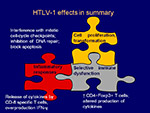  HTLV1  effects