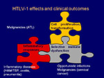 HTLV1  effects