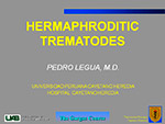  Hermaphroditic Trematodes 