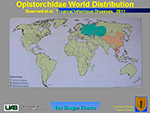 Opistorchidae