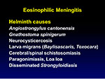  Eosinophilic meningitis 
