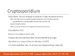 Crystosporidium