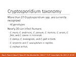 Crystosporidium taxonomy