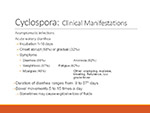  Cyclospora 